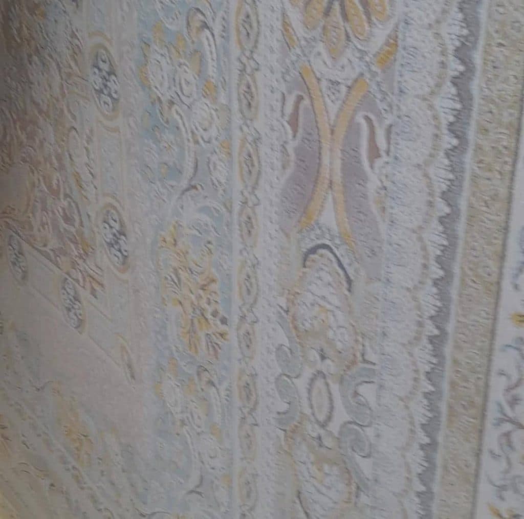 قالیشویی ملایری در پاکدشت