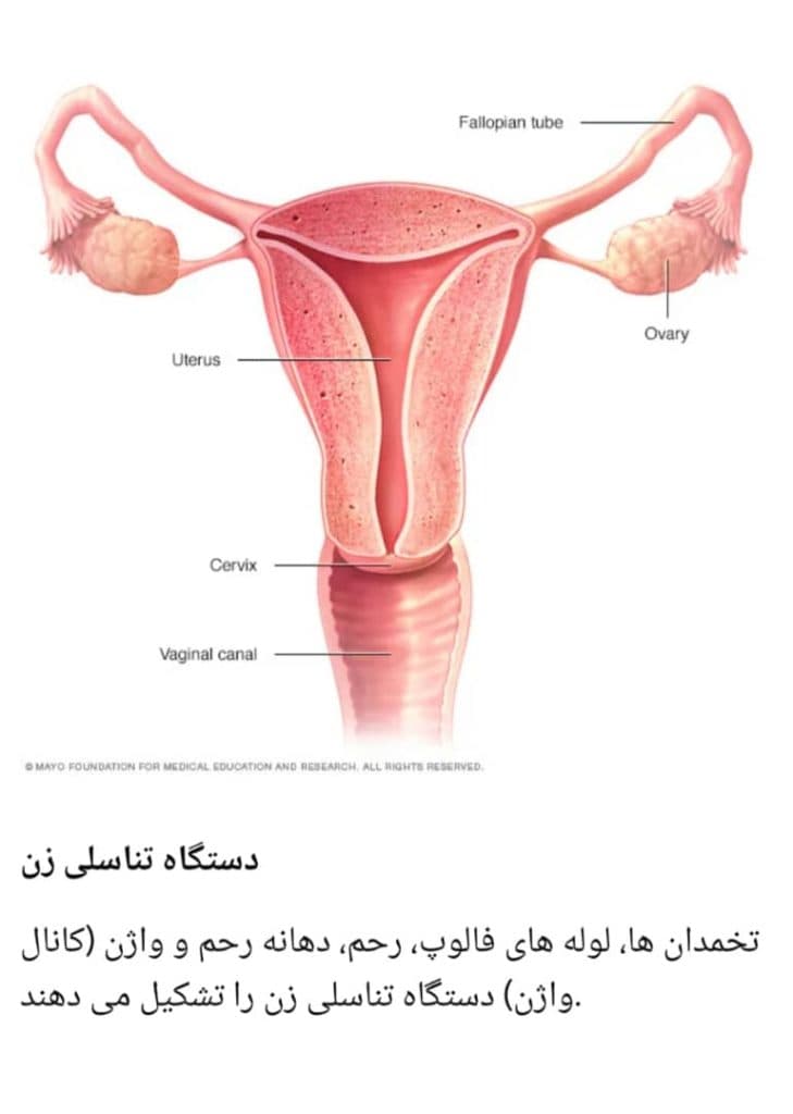 فروش مکمل های ناباروری تقویت اسپرم مردان آنلاین طب باروا در اصفهان