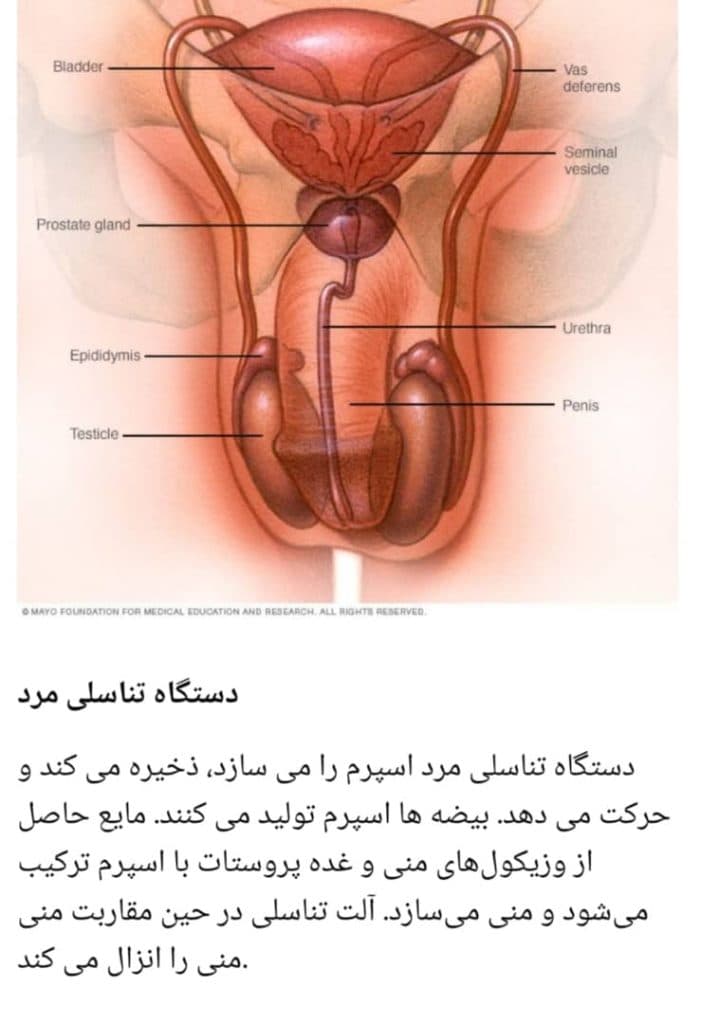 فروش مکمل های ناباروری تقویت اسپرم مردان آنلاین طب باروا در اصفهان