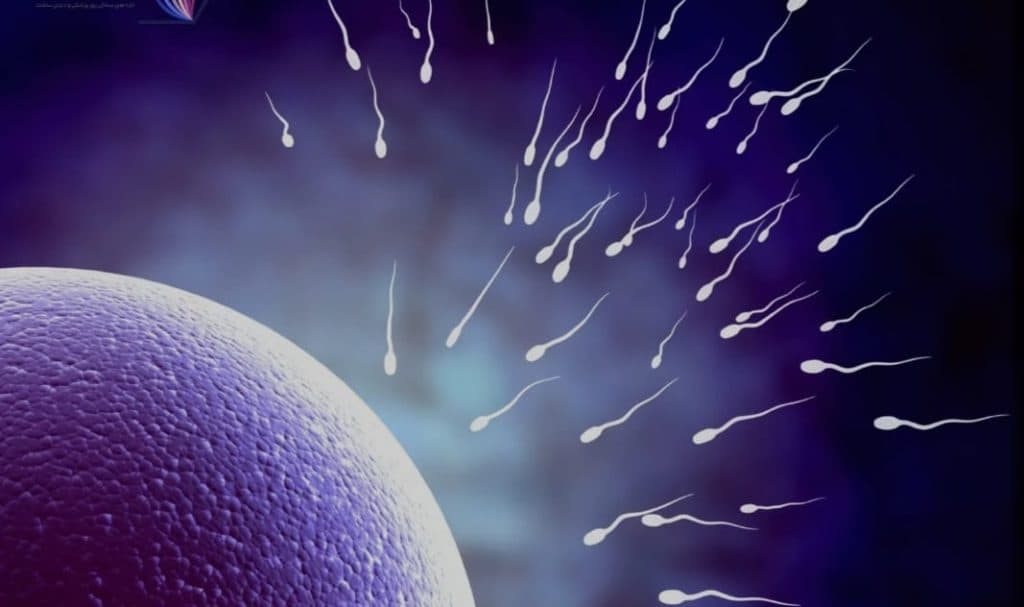 فروش مکمل های ناباروری آنلاین طب باروا در ایذه