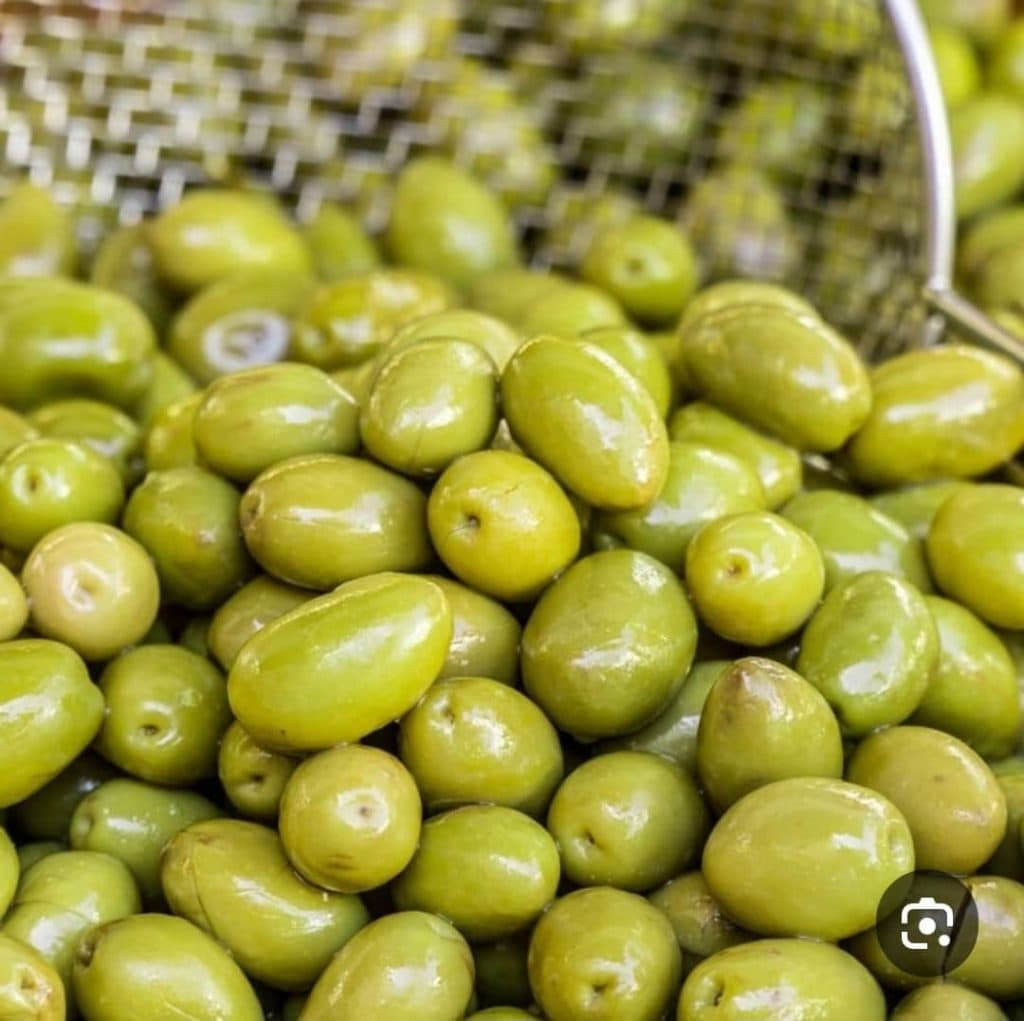 فروشگاه زیتون سرو سام در رشت