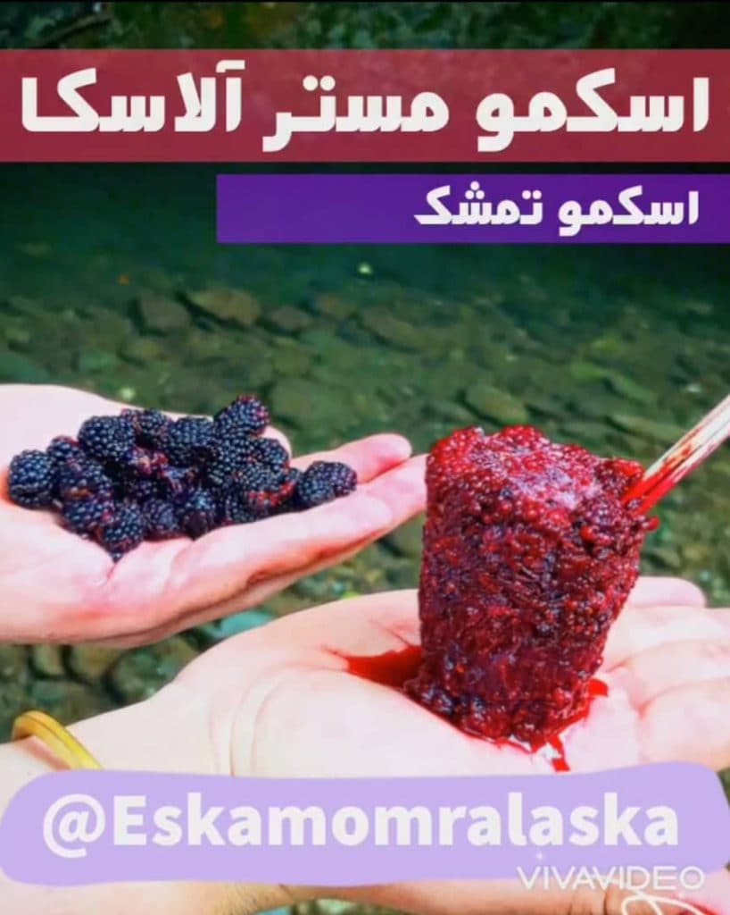 بستنی و اسکمو مستر آلاسکا در رشت