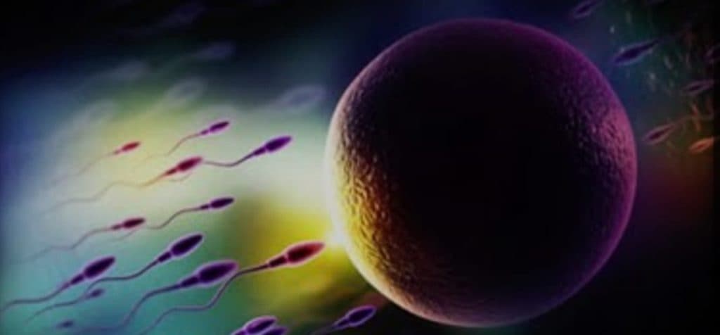 فروش مکمل های ناباروری تقویت اسپرم مردان آنلاین طب باروا در شیراز