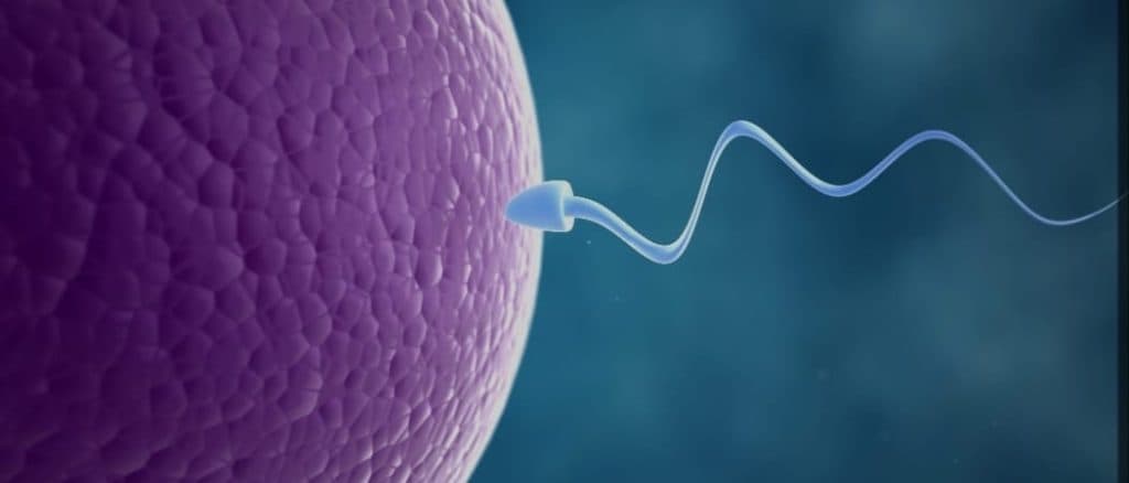 فروش مکمل های ناباروری تقویت اسپرم مردان آنلاین طب بارو در ایذه