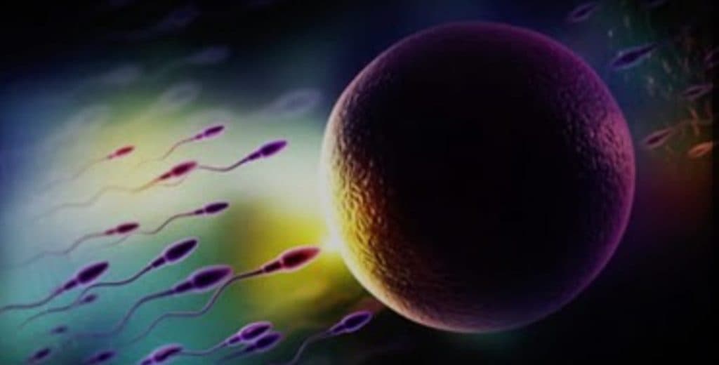 فروش مکمل های ناباروری تقویت اسپرم مردان آنلاین طب بارو در یزد