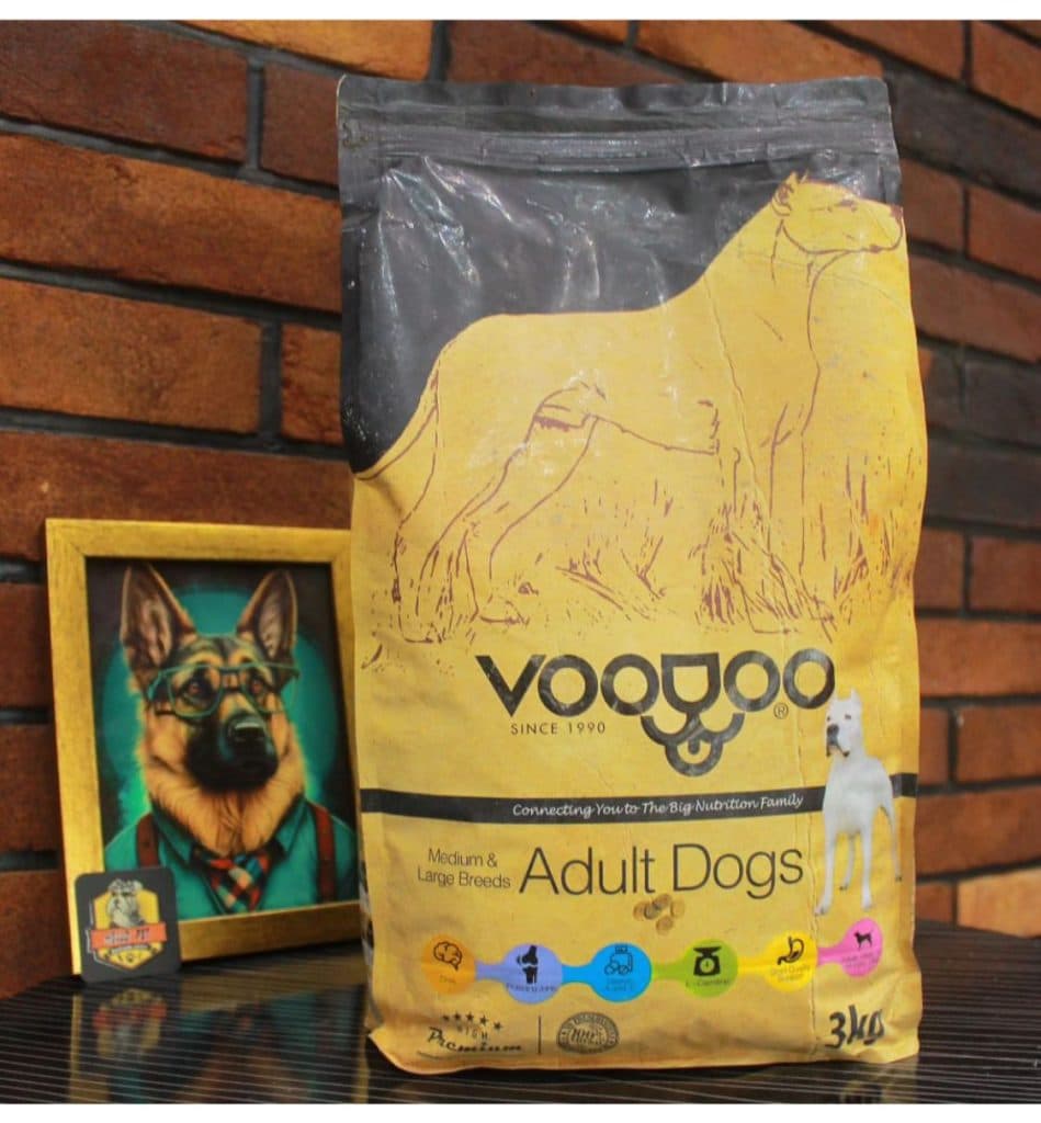 پت شاپ هلو پت در لنگرود