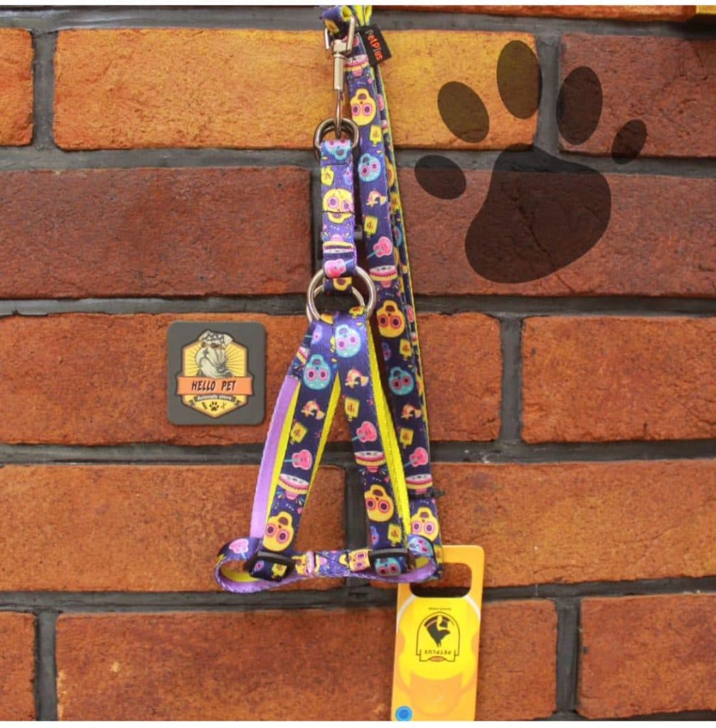 پت شاپ هلو پت در لنگرود