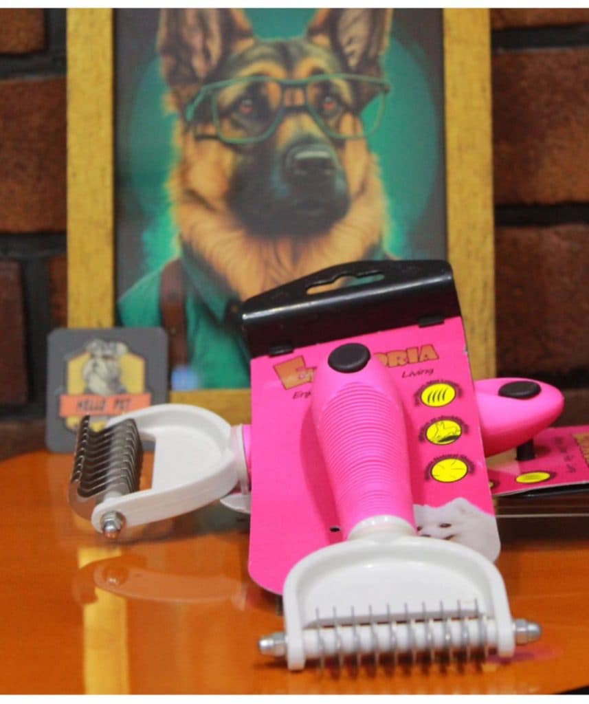 پت شاپ هلو پت در لنگرود