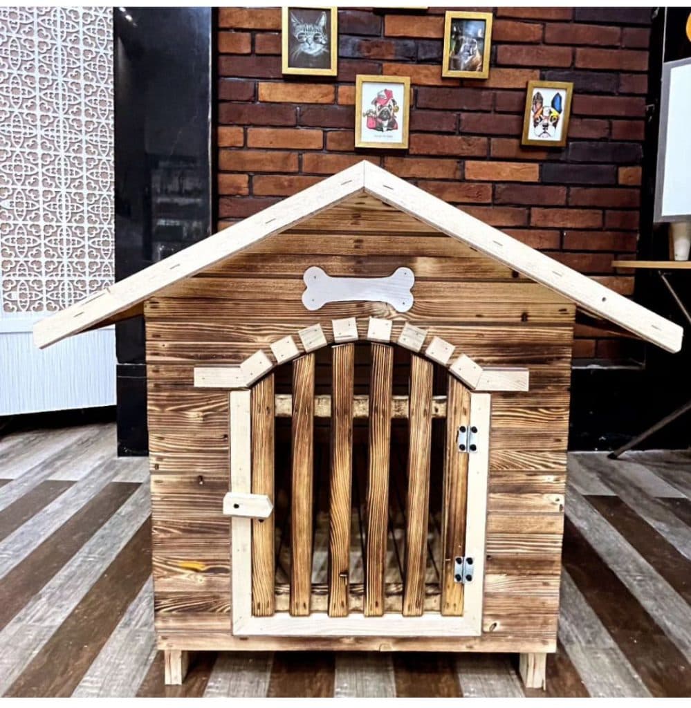 پت شاپ هلو پت در لنگرود