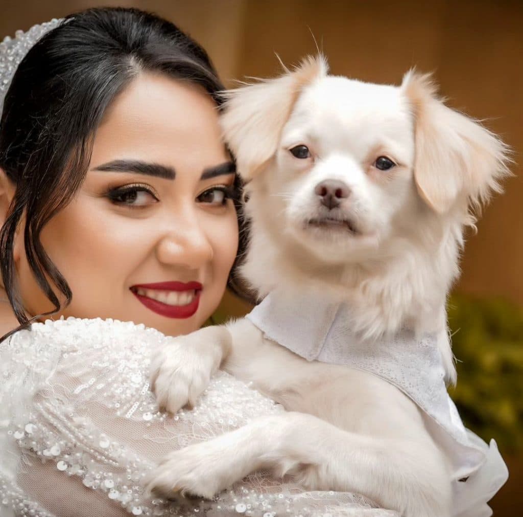 آتلیه عکاسی تداعی در گرگان