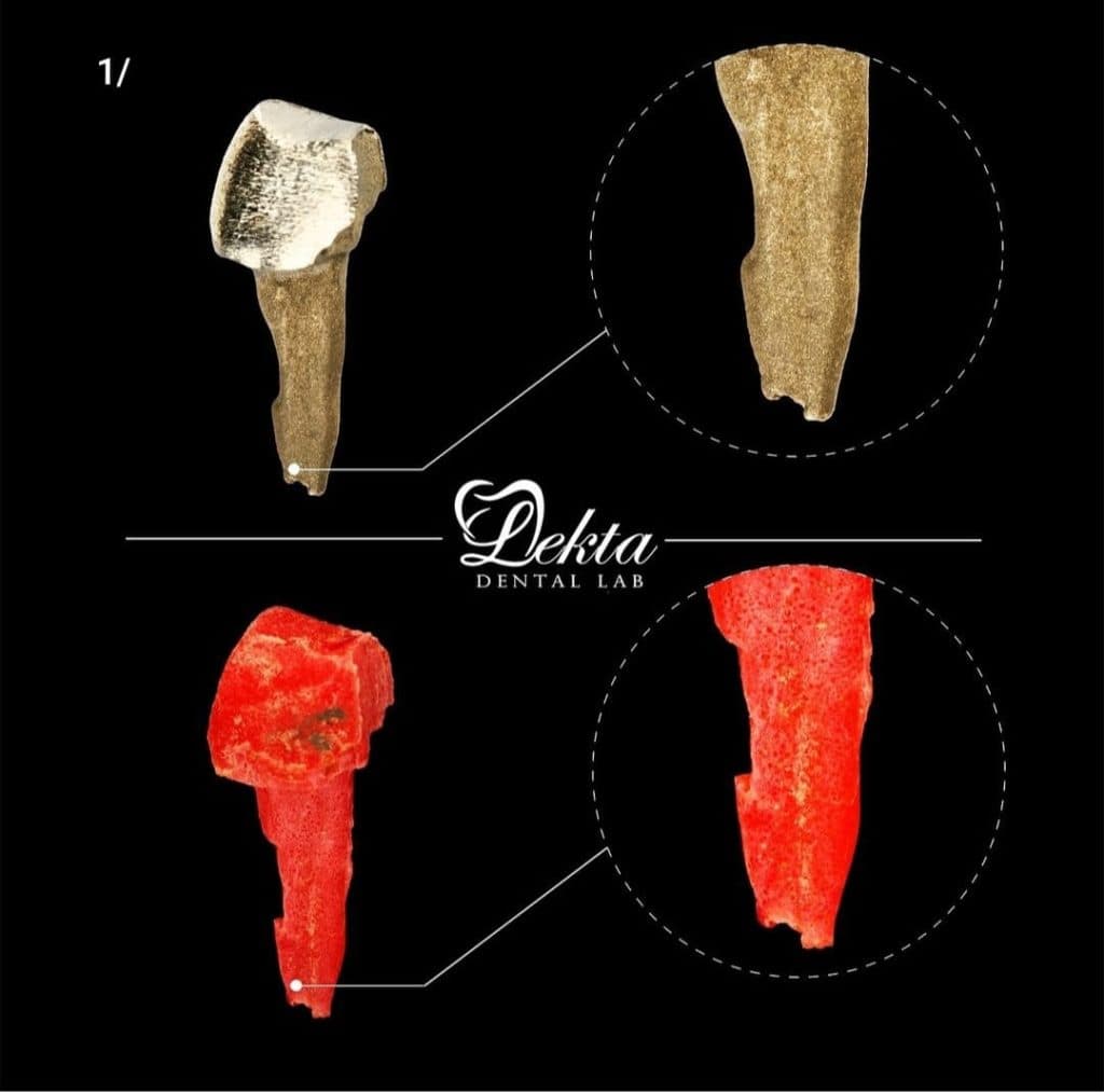 لابراتوار تخصصی پست و کور یکتا در تهران