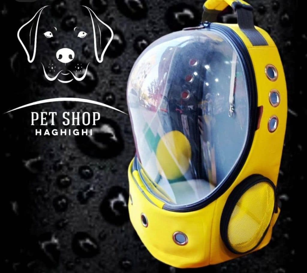 پت شاپ حقیقی در نوبهار کرمانشاه