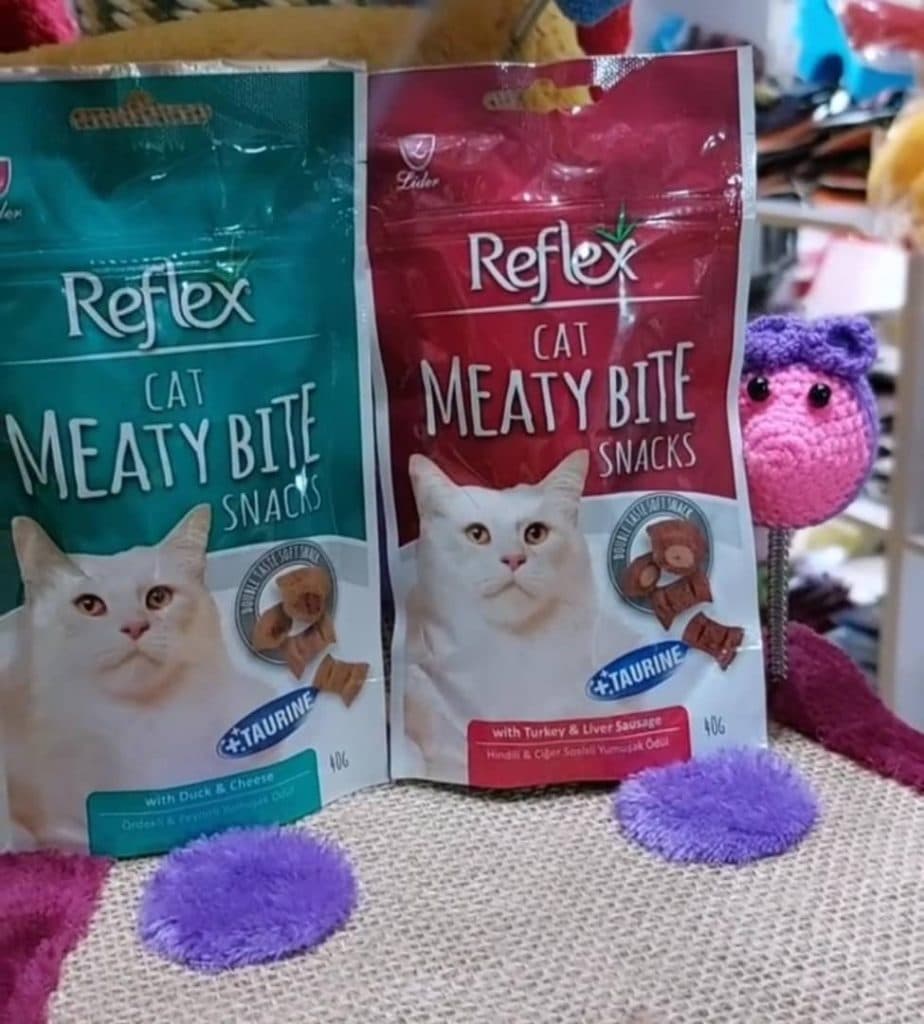 پت شاپ حقیقی در نوبهار کرمانشاه