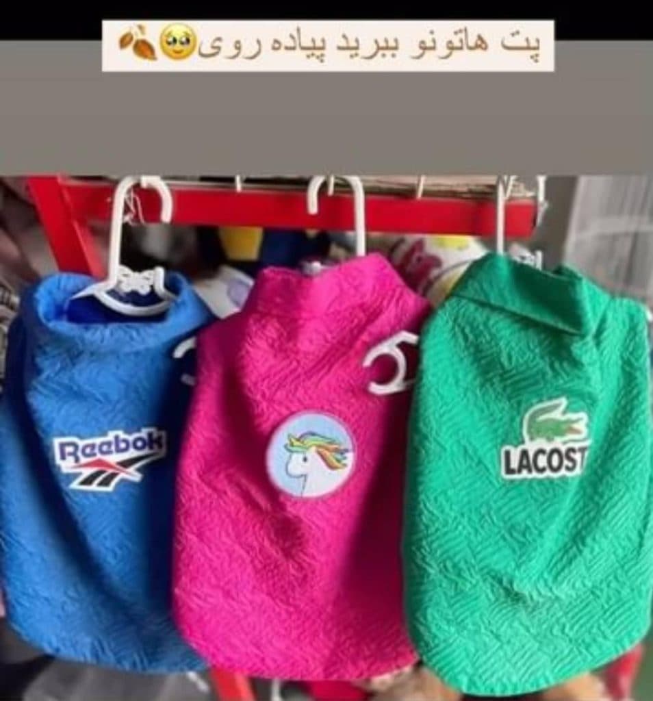 پت شاپ حقیقی در نوبهار کرمانشاه