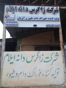 خوراک دام و طیور شرکت زاگرس دانه ایلام