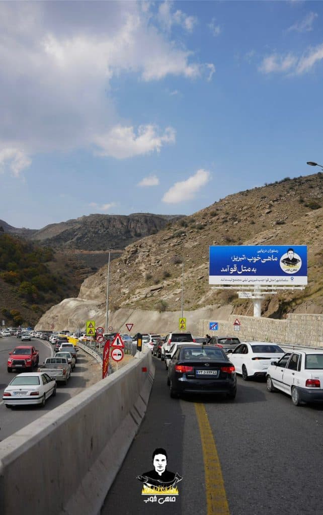 سرو غذای دریایی ماهی خوب حقیقی در سلمان شهر