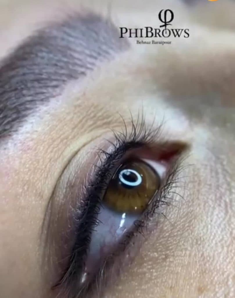 آموزش تخصصی میکروبلیدینگ بهناز براتپور در ملارد