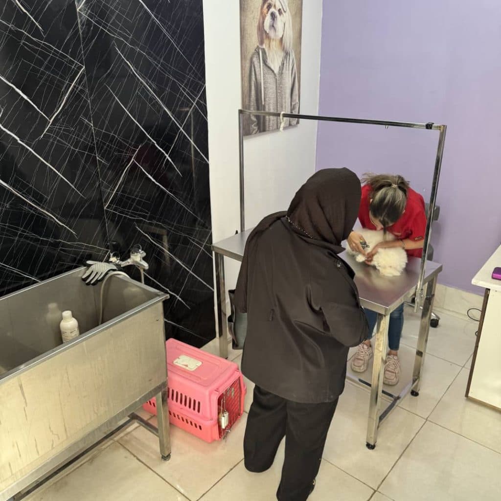 کلینیک دامپزشکی دکتر سنایی راد در زرافشان اسلامشهر