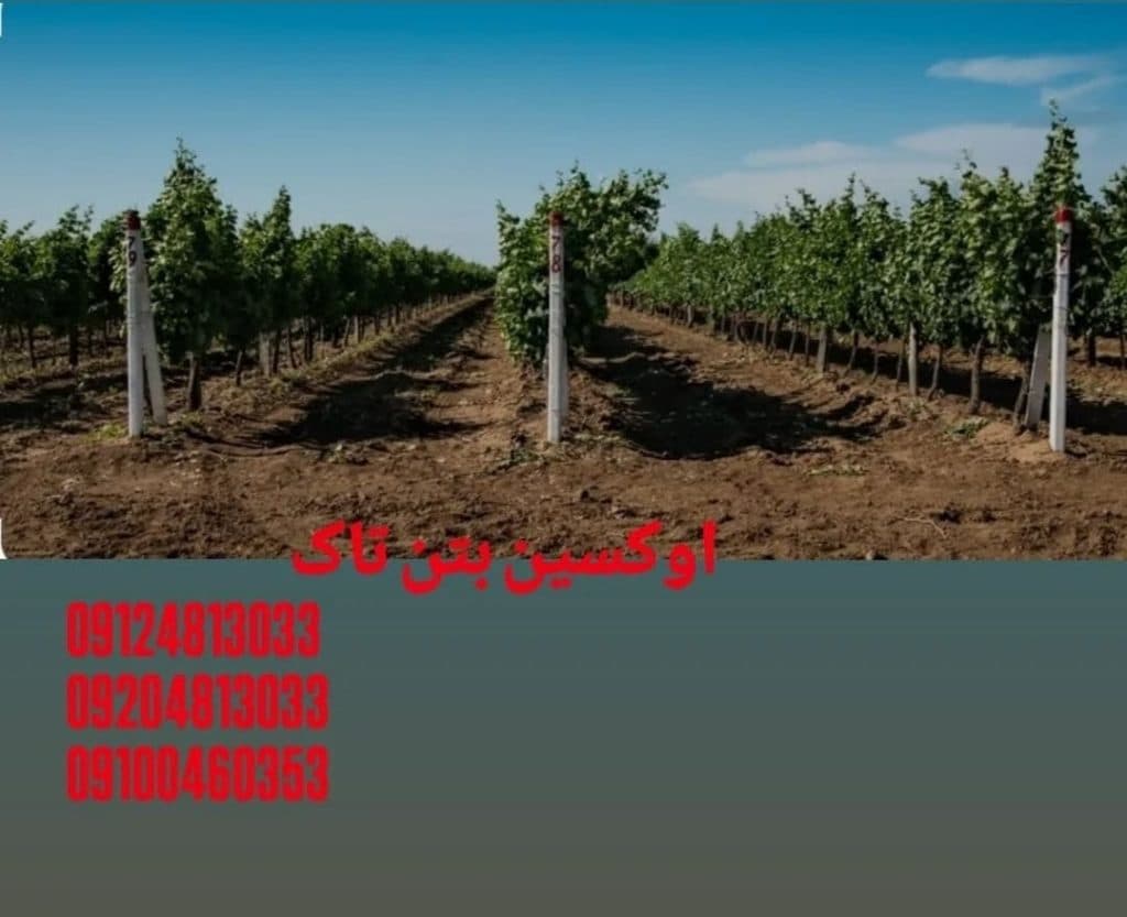 تولید پایه فنس و داربست انگور اوکسین بتن تاک در قزوین