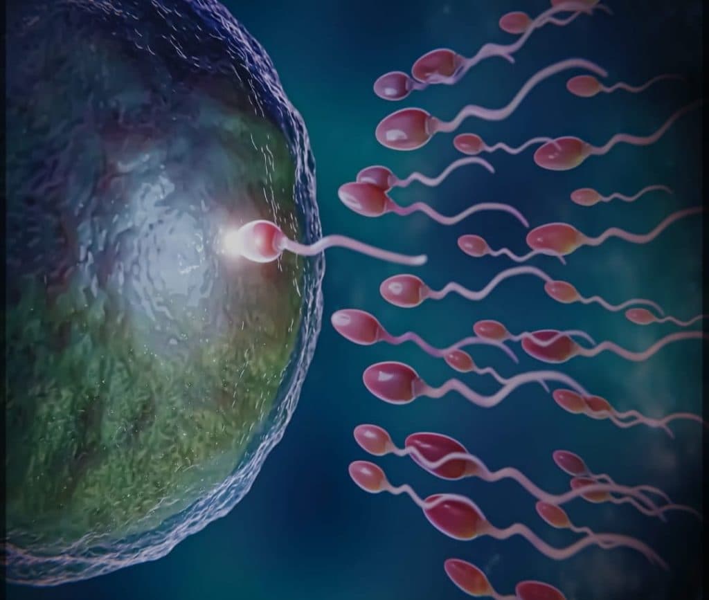 مركز العقم والعقم التبرع بالأجنة التبرع بالبويضات للرحم البديل رودنیل فی بغداد