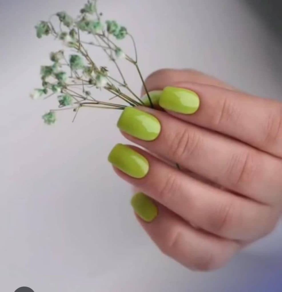 سالن زیبایی پدیده در شکوفه تهران