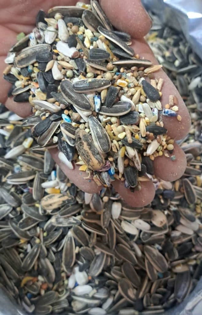 فروش دانه های خارجی و ایرانی پرندگان همراه در رشت