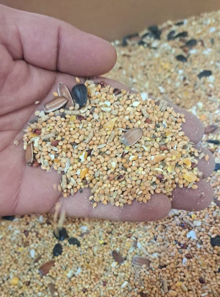 فروش دانه های خارجی و ایرانی پرندگان همراه در رشت