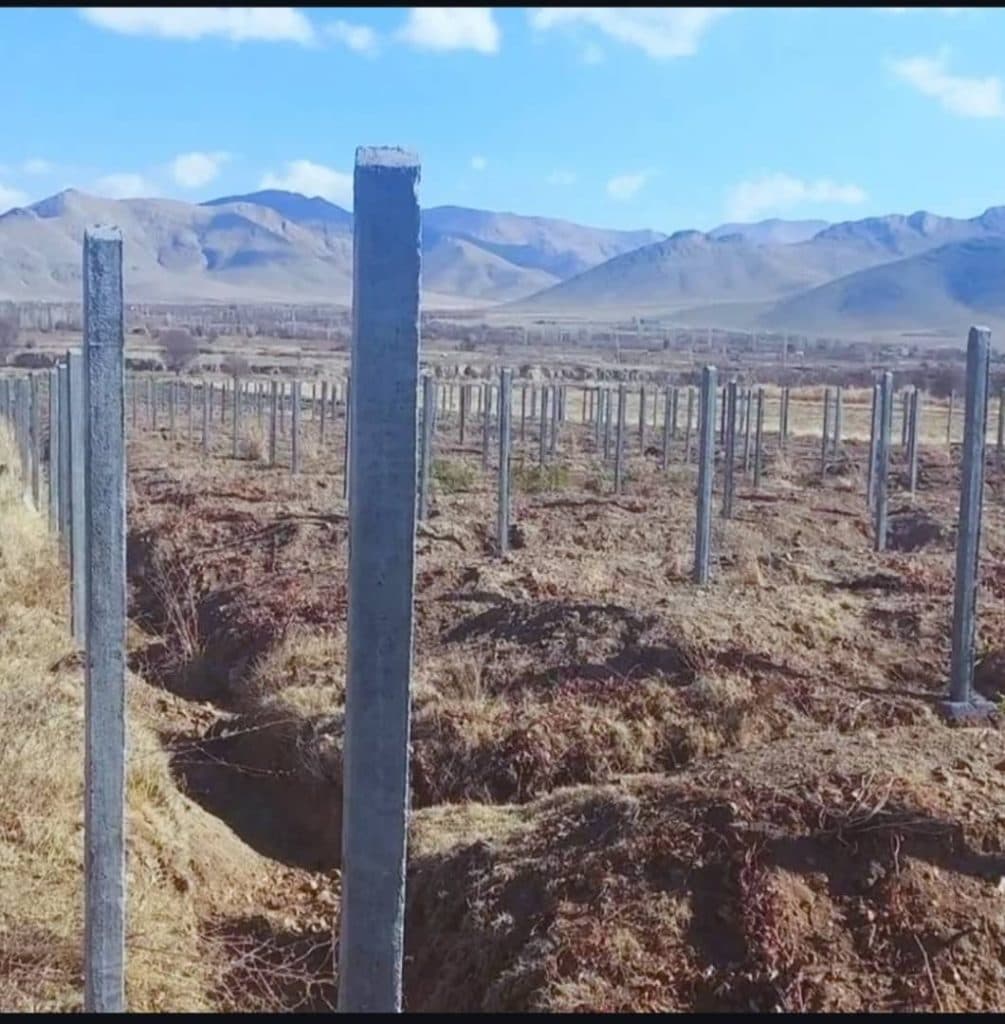 تولید پایه فنس و داربست انگور اوکسین بتن تاک در قزوین