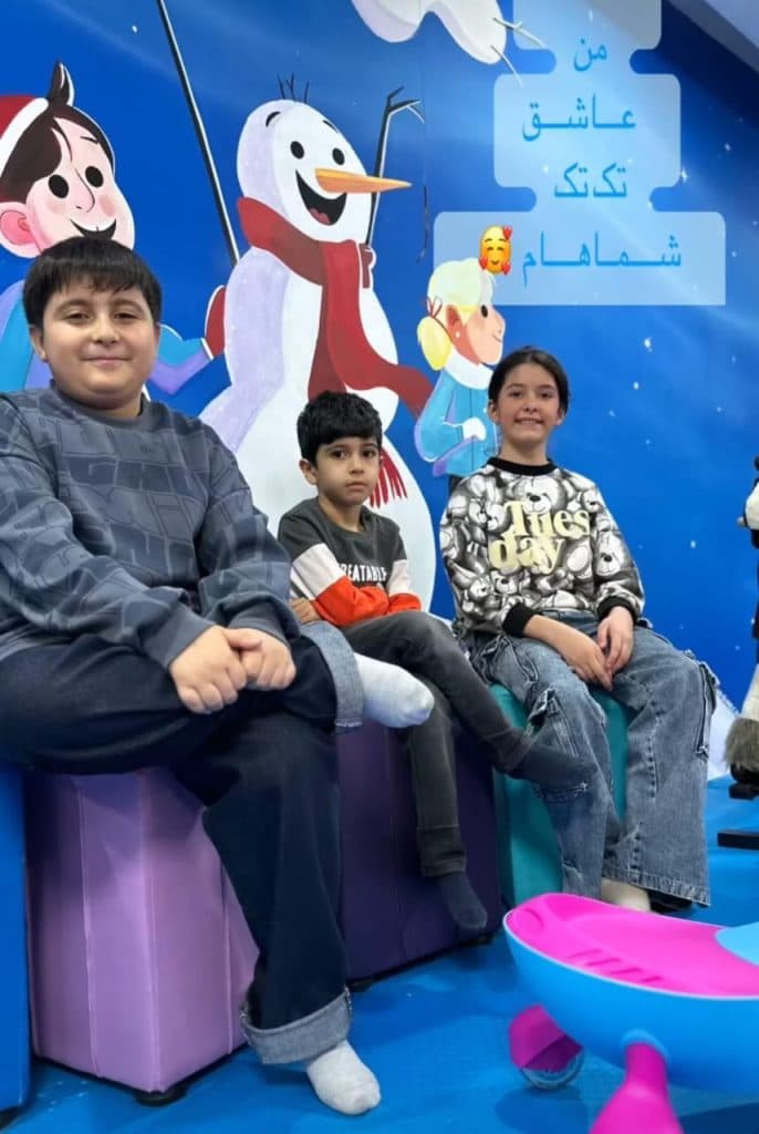 مرکز بازی vip دو زبانه سرزمین برفی در شهرک وائین شهریار