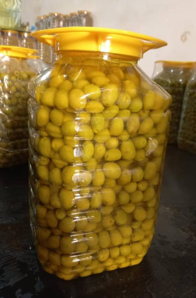 شرکت پخش زیتون سعید گسترنوین طارم در رشت