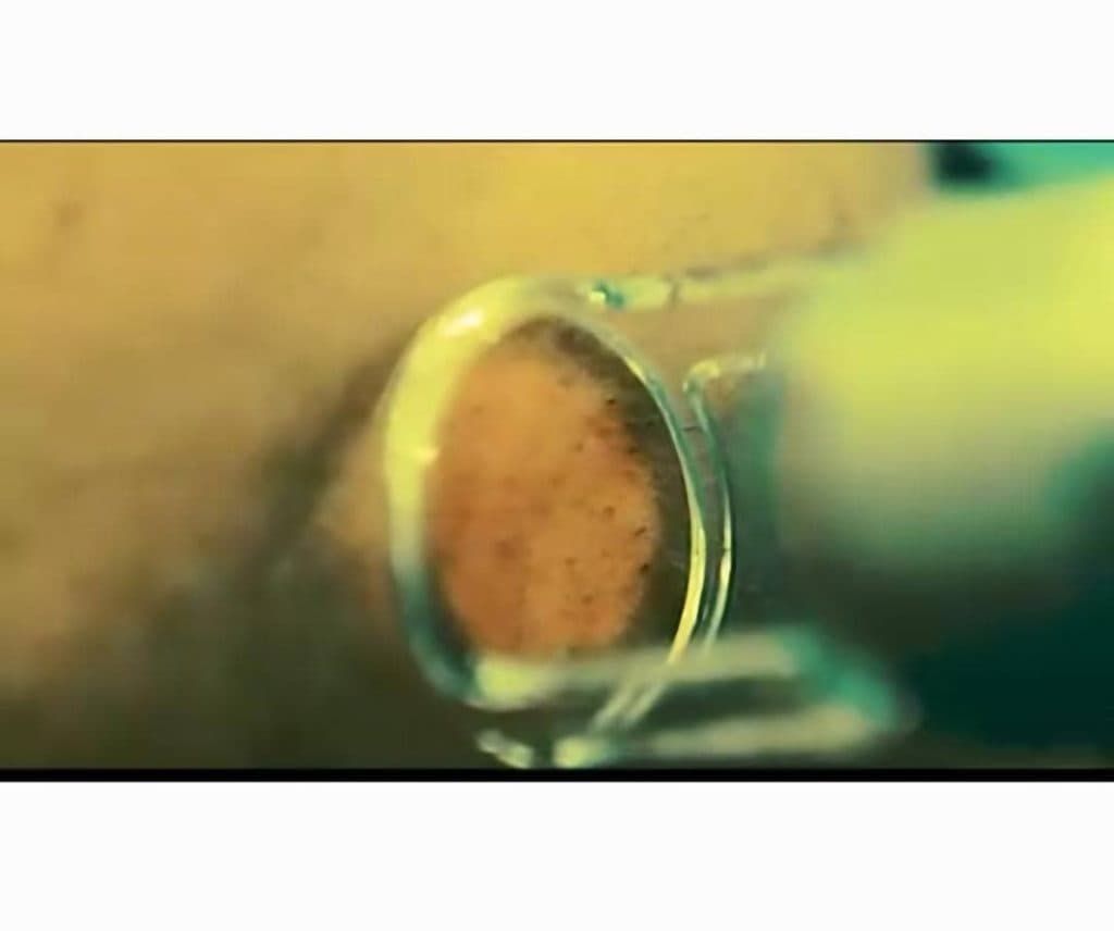 کلینیک زیبایی بین المللی آدینا در شصت متری یاسوج