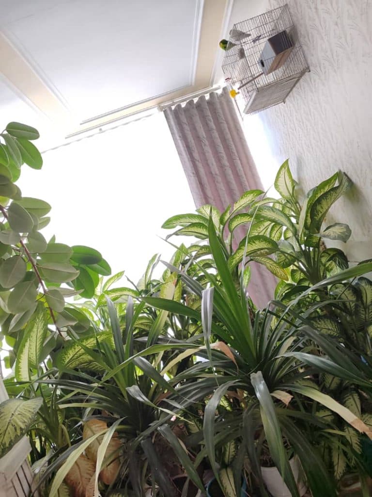 دکوراسیون داخلی مینی مال در شهرکرد