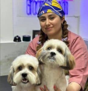 آرایشگاه حیوانات خانگی پنجه در کرج