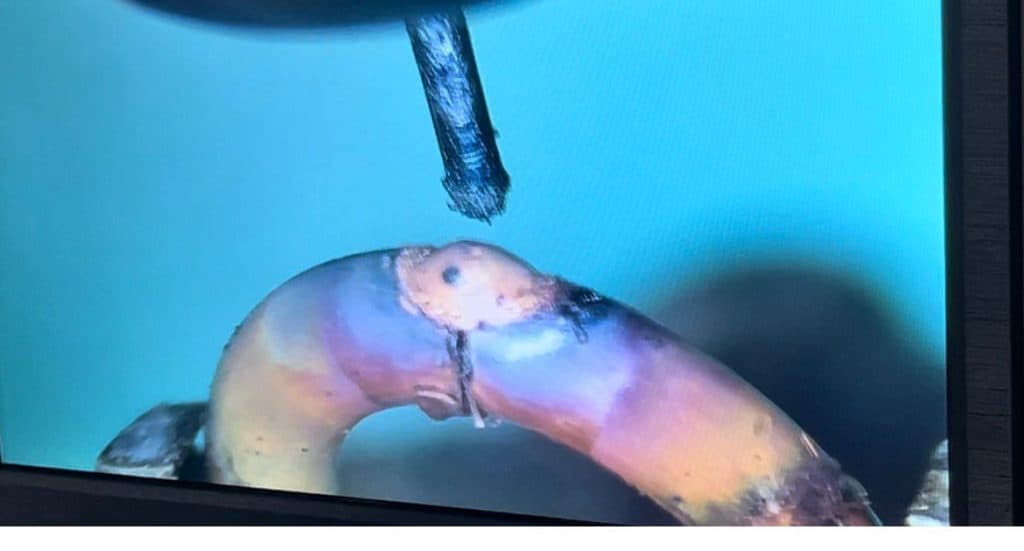 ساخت و فروش دستگاه لمپرت بینایی ماشین اسپادانا اصفهان