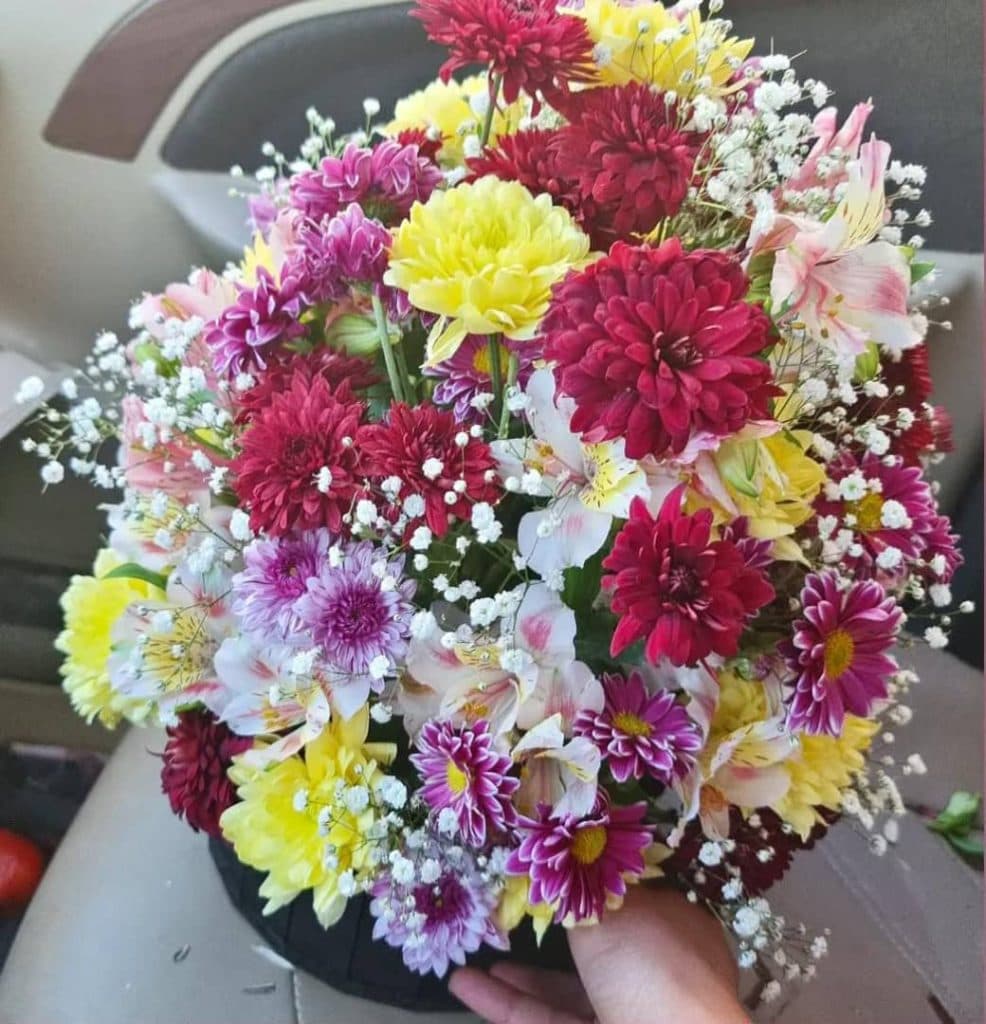 گل فروشی و گل آرایی گل همیشه بهار در زابل