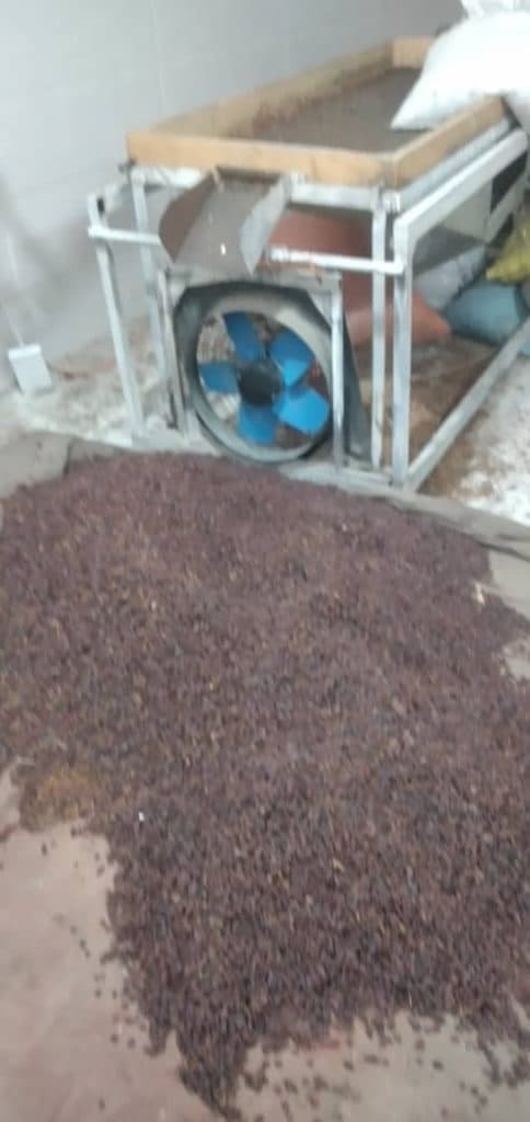 تولید زغال حبه ای و پوست پسته سیمرغ در ملایر