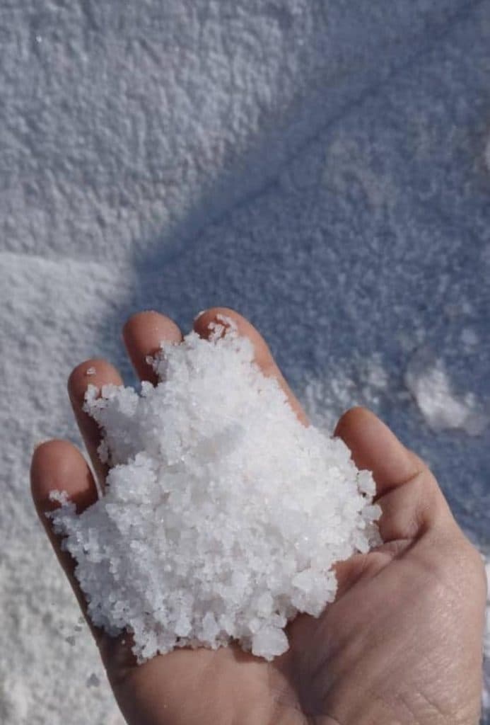 تولید و پخش نمک سلطان در تهران