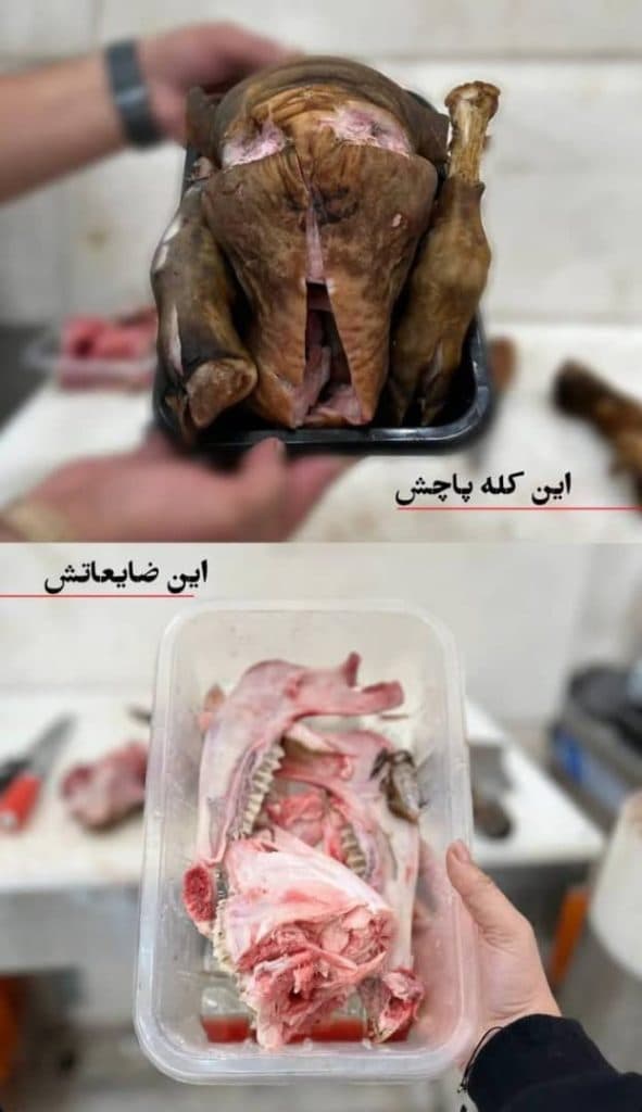 فروشگاه پروتئینی معین دام در شهید رجایی یزد