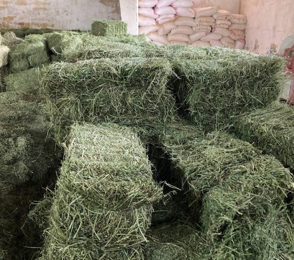 خرید و فروش کاه و یونجه اسکندری در بوکان