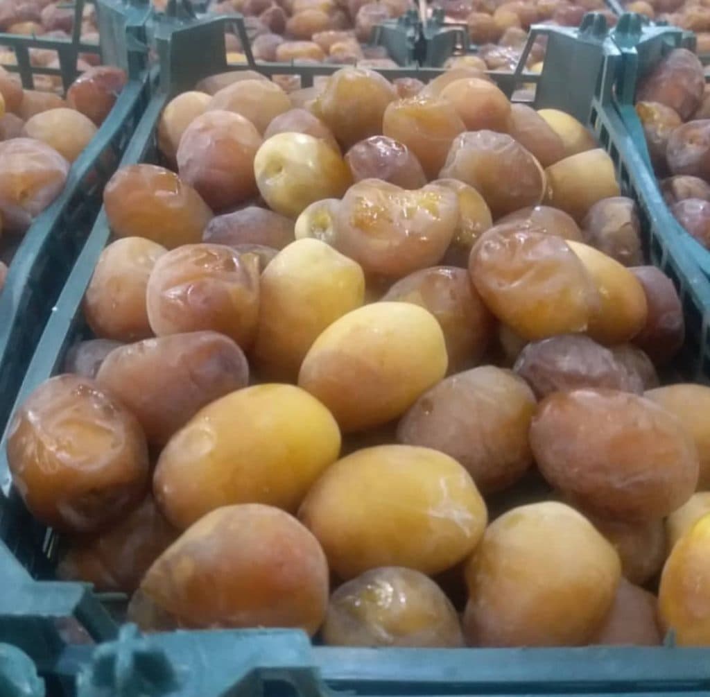 تولید و پخش خرما و رطب منصوری در آبادان