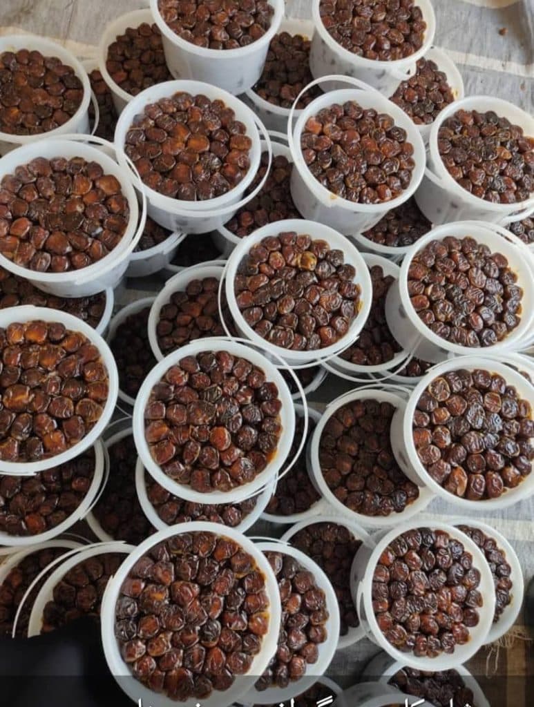 تولید و پخش خرما و رطب منصوری در آبادان