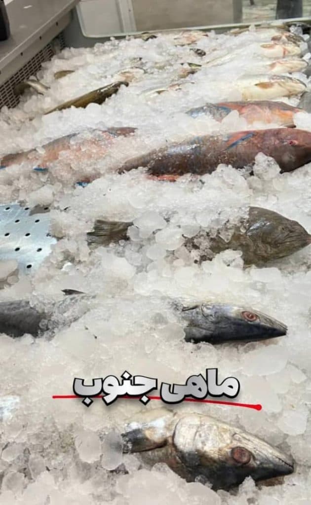 فروشگاه پروتئینی معین دام در شهید رجایی یزد