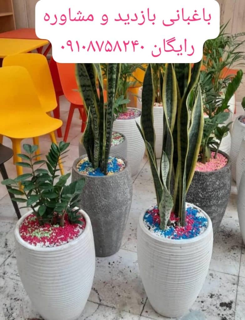 خدمات باغبانی و باغچه کاری در محل عزیزی در غرب تهران