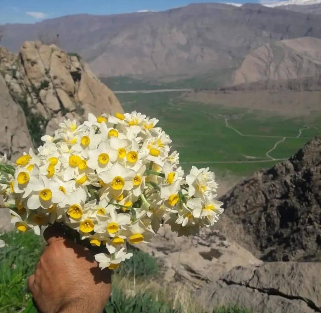 اقامتگاه بومگردی ایلدا دشت سوسن در ایذه