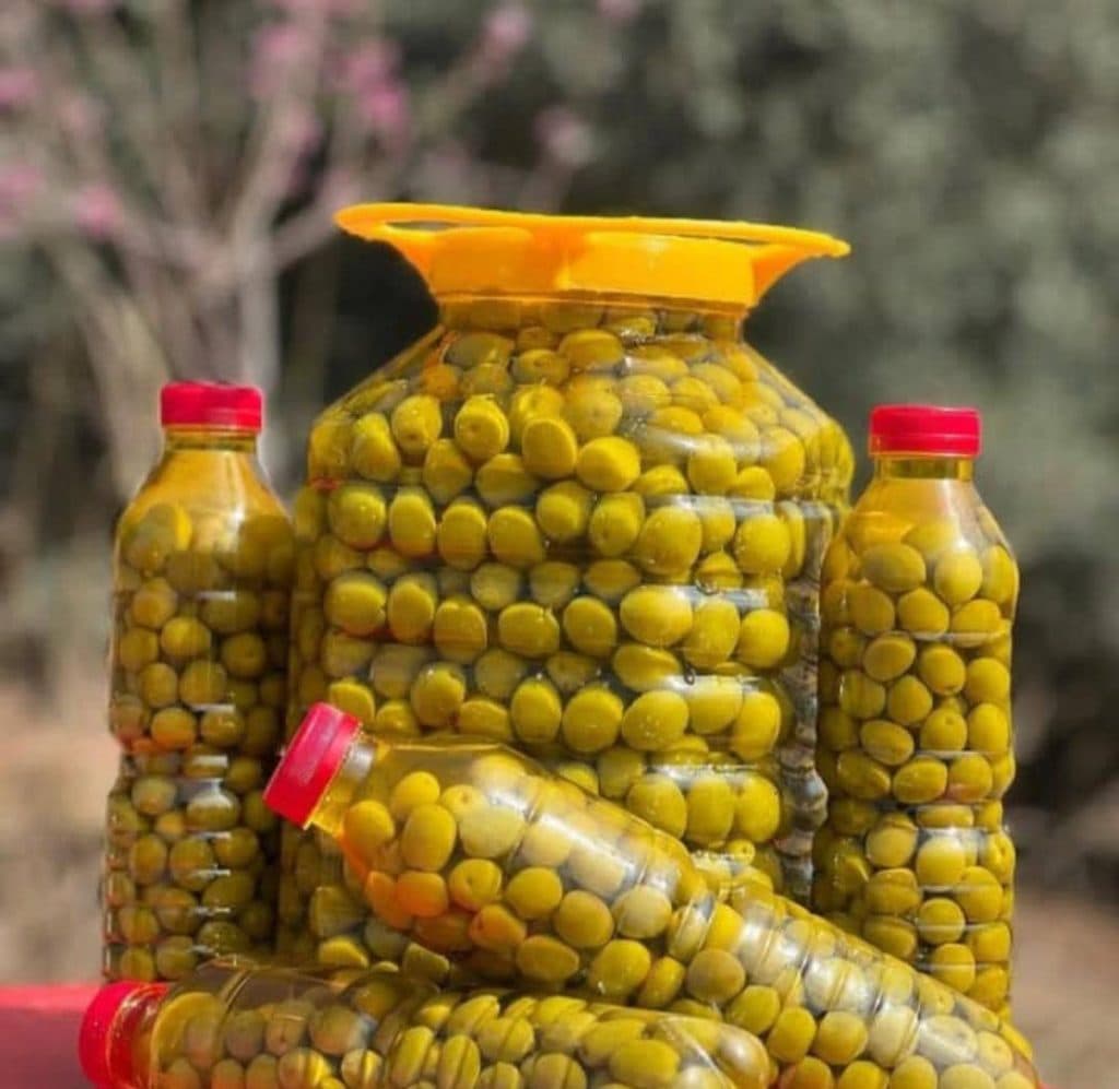 تولید و فروش محصولات ارگانیک زیتون مسعودی در زنجان