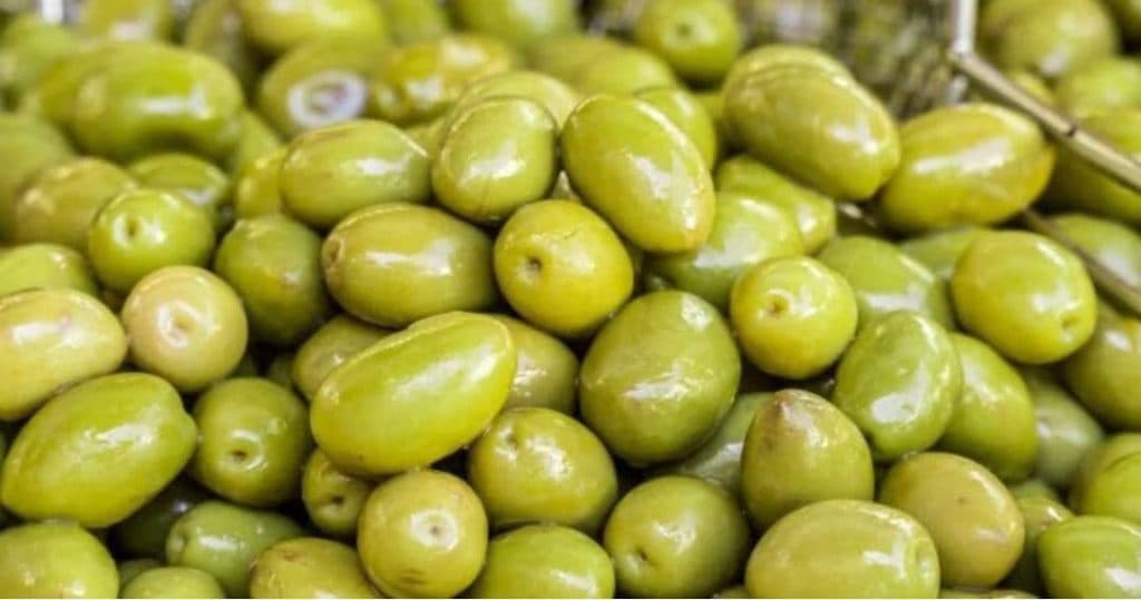 تولید و فروش محصولات ارگانیک زیتون مسعودی در زنجان