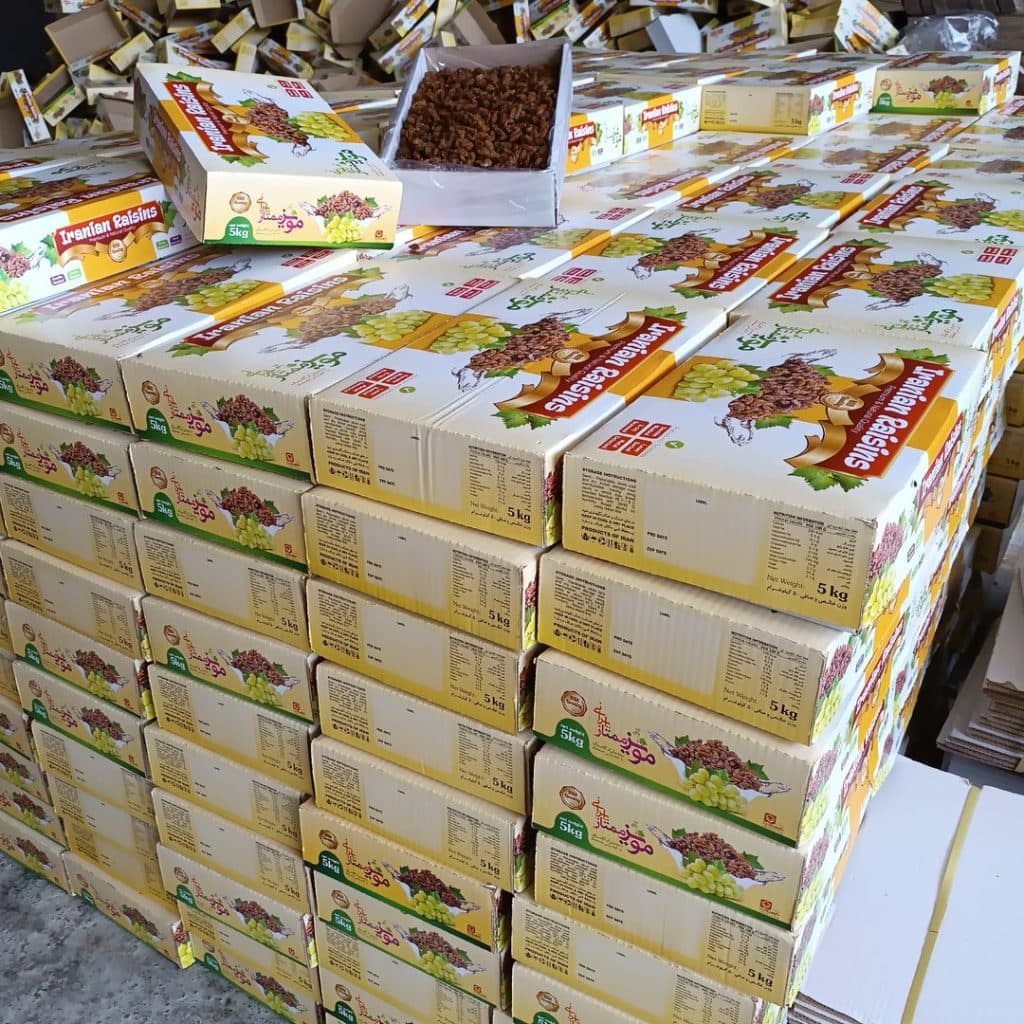 کارخانه سورت و بسته بندی کشمش و مویز پرویزی در کوار