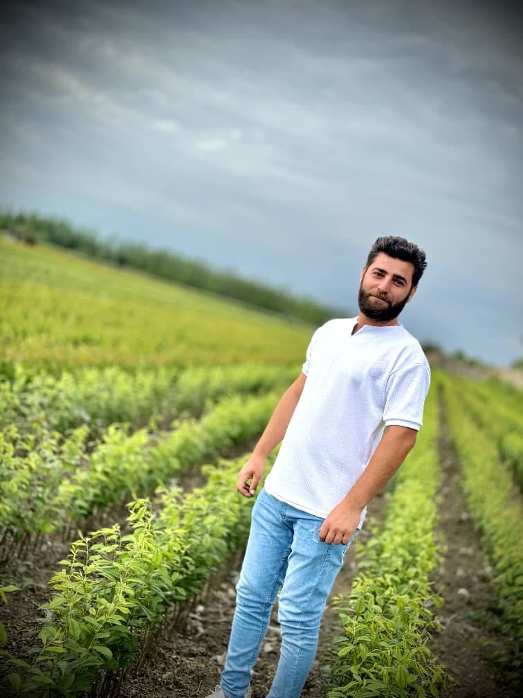 تولید نهال میوه نهالستان مرادی در میاندوآب