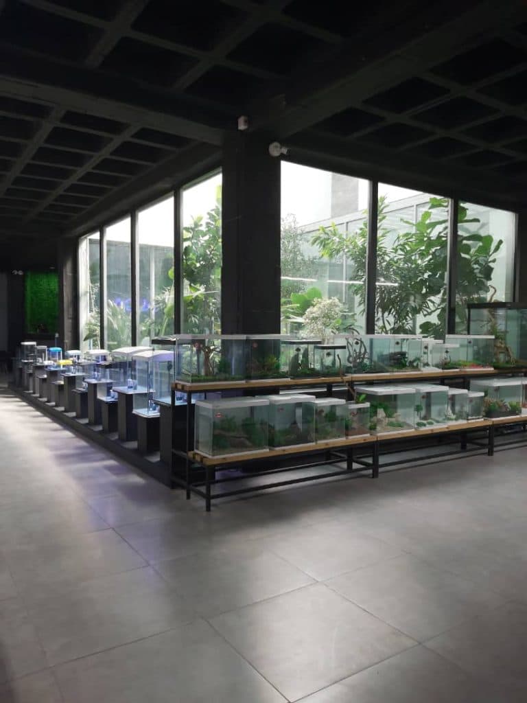 تولید خوراک و تجهیزات آبزی پروری و آکواریوم الو آکوآ در قزوین