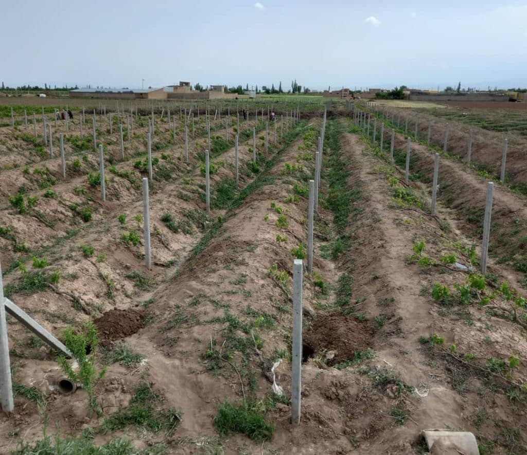 تولید و اجرا تیرچه سقفی و باغی بتن المهدی در قزوین